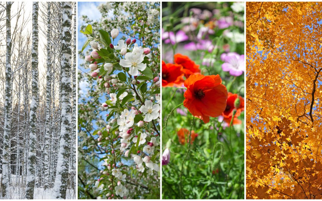 The Best Season for Every Construction Project with Leach Construction