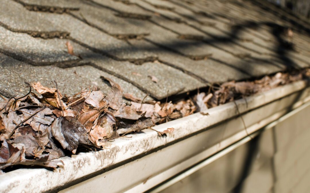 A Metro Detroit Homeowner’s Guide to Addressing Rain Gutter Nightmares