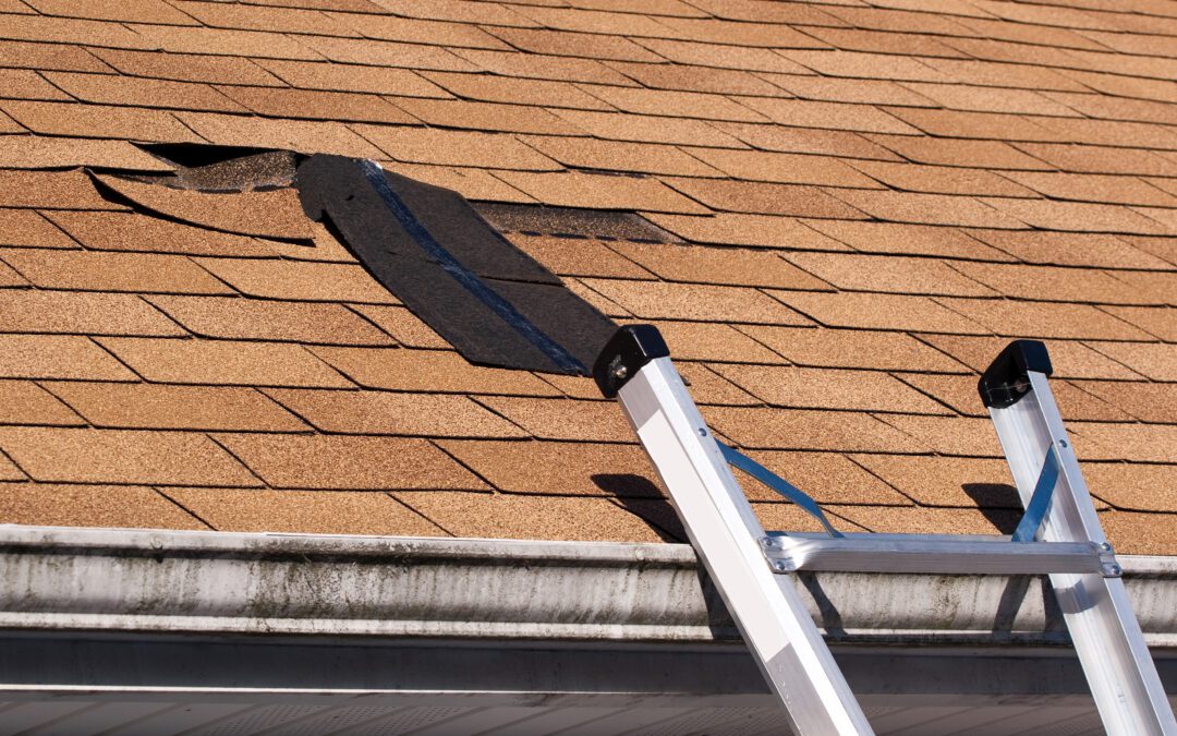 How Regular Roof Inspections Can Keep Your Michigan Home Safe