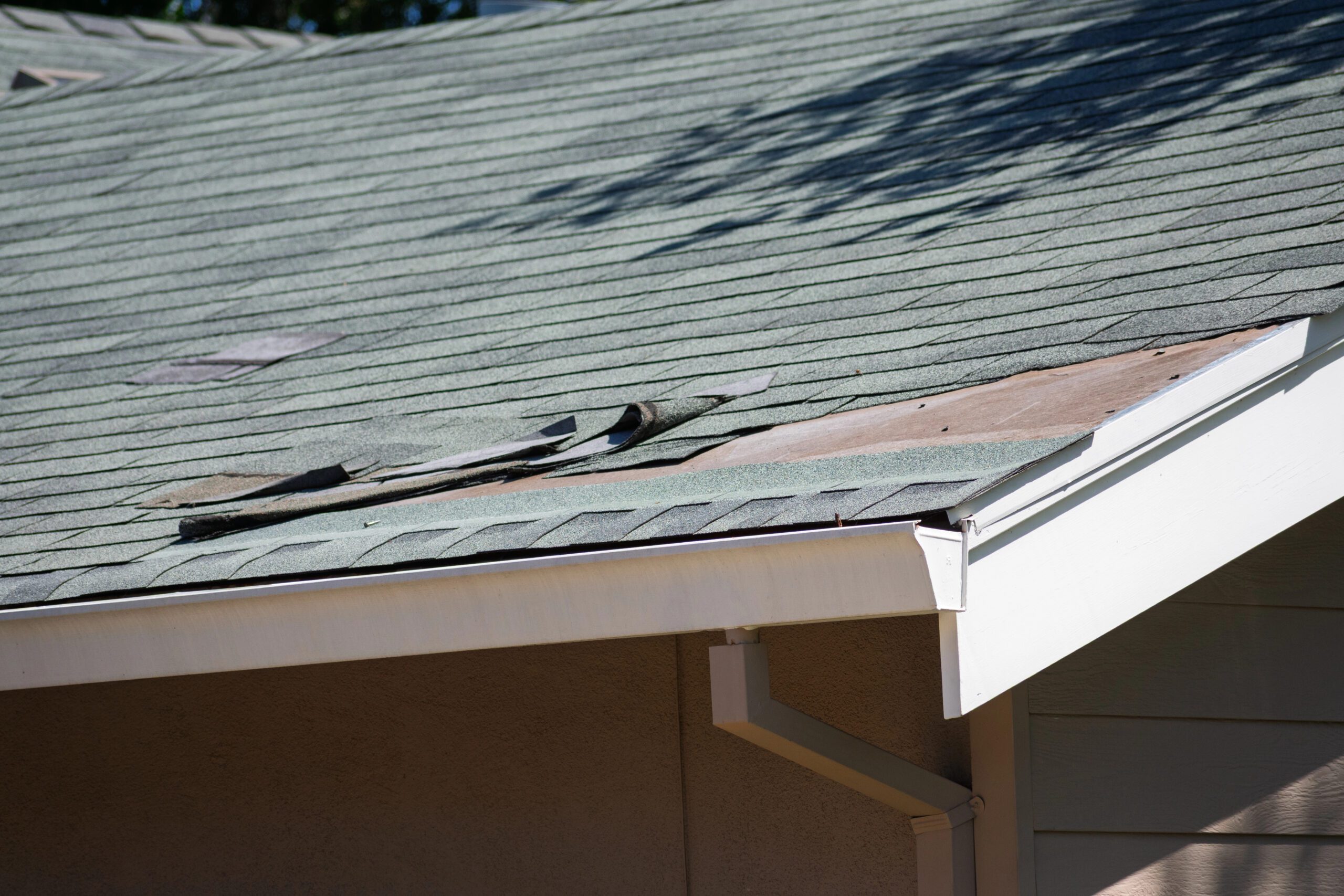 Missing shingles from high wind damage