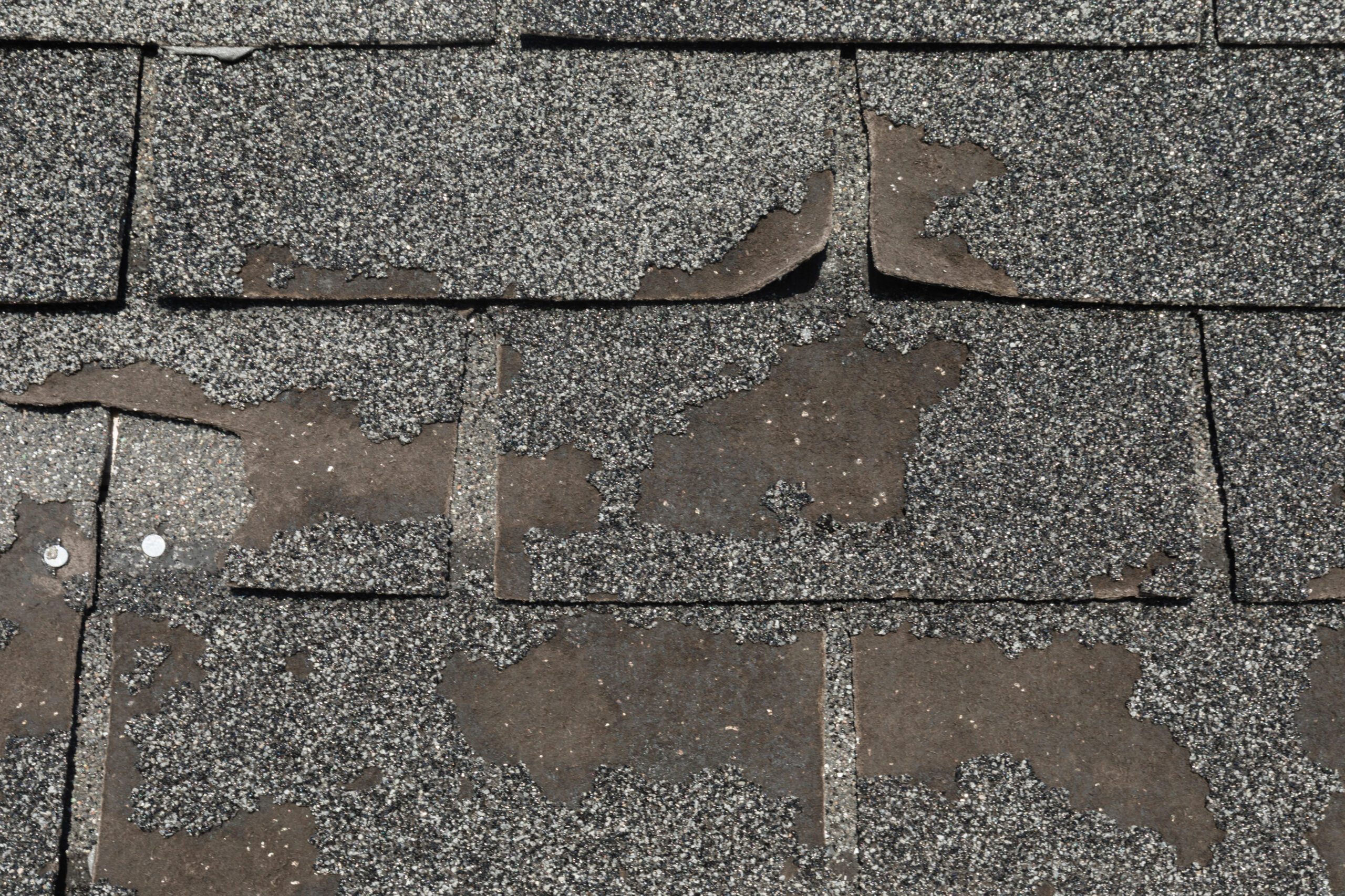 Close up of granule loss and shingle deterioration