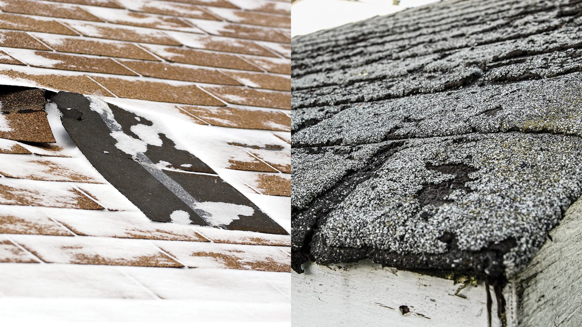 Side by side comparison of roof repair section versus full replacement